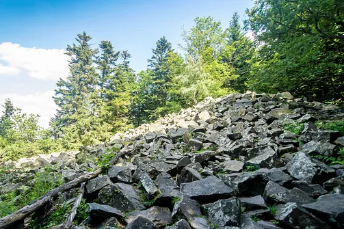 Łysica - najwyższy szczyt Gór Świętokrzyskich