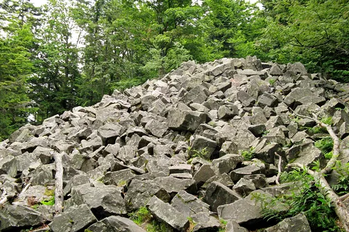 Łysica. Gołoborza na szczycie Łysicy