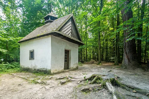 Łysica. Kapliczka Janikowskich zwana częściej kapliczką Żeromskiego