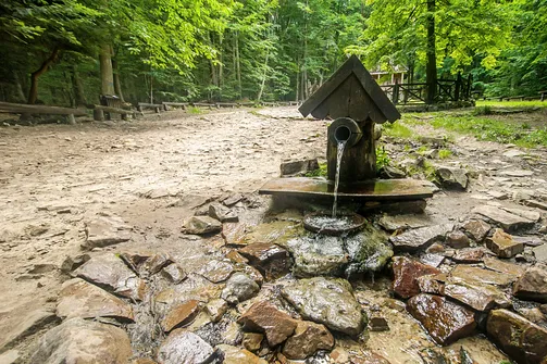 Łysica. Żródełko św. Franciszka