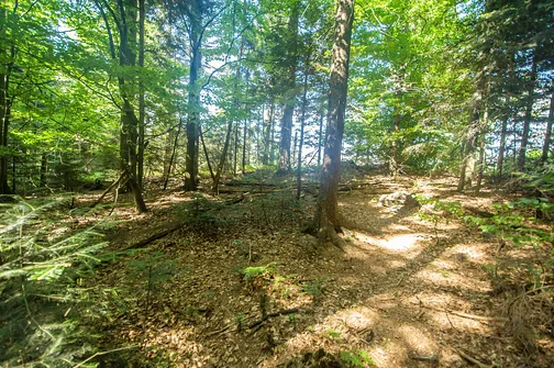 Łysica. Wschodni wierzchołek Łysicy - Skała Agaty