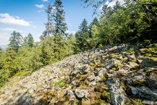 Łysica. Gołoborze na wschodnim wierzchołku Łycicy