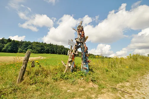 Pień drzewa z butami na Przełęczy Komarnickiej.