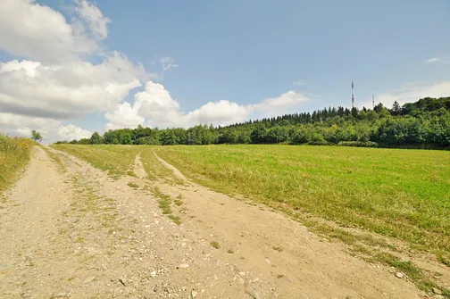 Na szczyt Skopca drogą w prawo.