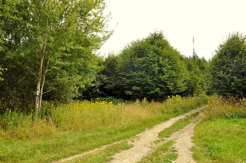 Skopiec - szczyt Korony Gór Polski w Górach Kaczawskich