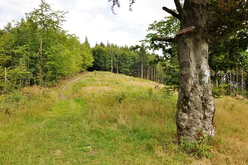 Skopiec - szczyt Korony Gór Polski w Górach Kaczawskich