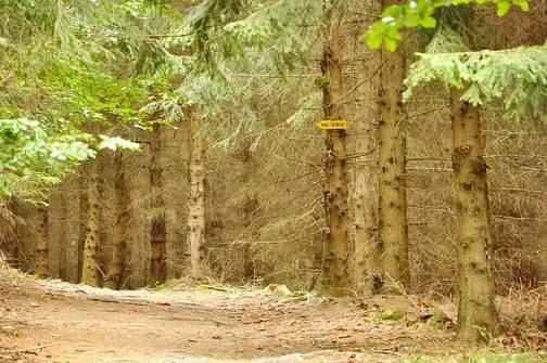 Od tego miejsca już tylko kilkadziesiąt metrów na szczyt.