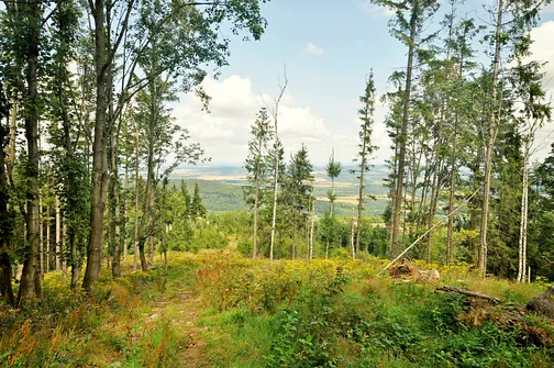 Widok ze Skopca. Nie z samego szczytu, ale z polanki kilkaset metrów na północ.