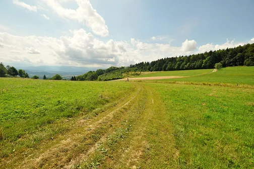 Widok na Przełęcz Komarnicką, Kotlinę Jeleniogórską i Karkonosze.