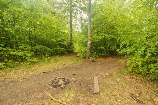 Podzamecka Kopa - 615 metrów n.p.m.