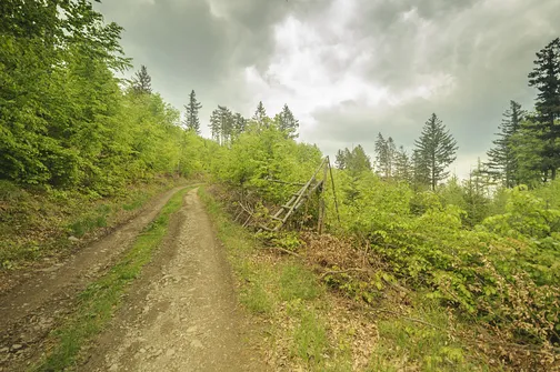 Cały czas nad nami przemieszczają się deszczowe chmury