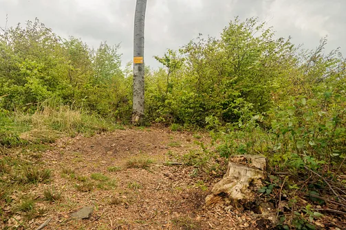 Grodzisko - 730m n.p.m.