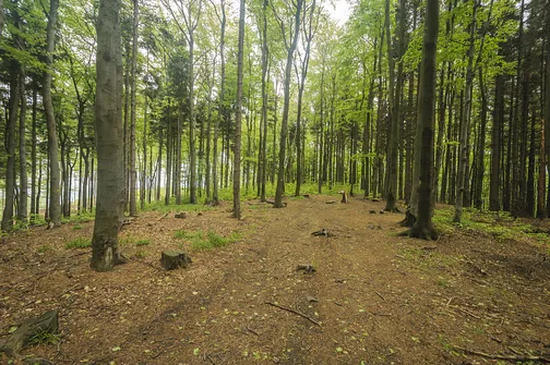 Szeroka Góra - 765 m n.p.m.