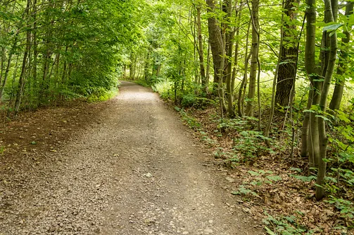 Chełmiec w Górach Wałbrzyskich - najkrótszy szlak na szczyt