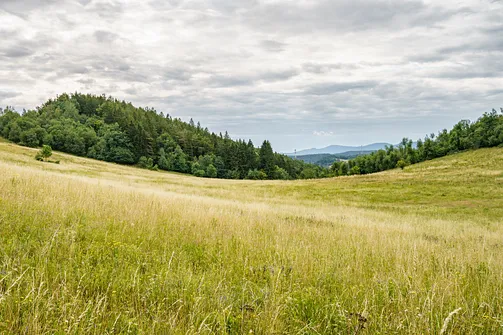 Chełmiec w Górach Wałbrzyskich - najkrótszy szlak na szczyt