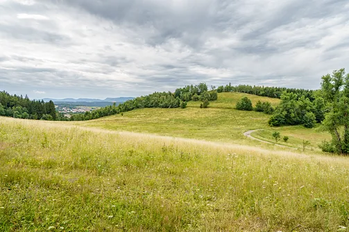 Chełmiec w Górach Wałbrzyskich - najkrótszy szlak na szczyt