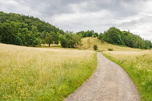 Chełmiec w Górach Wałbrzyskich - najkrótszy szlak na szczyt