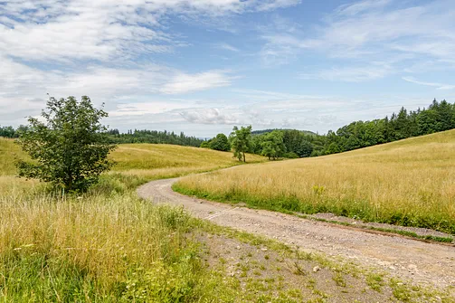 Chełmiec w Górach Wałbrzyskich - najkrótszy szlak na szczyt