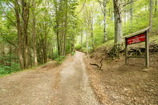 Chełmiec w Górach Wałbrzyskich - najkrótszy szlak na szczyt