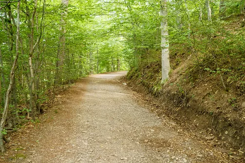 Chełmiec w Górach Wałbrzyskich - najkrótszy szlak na szczyt