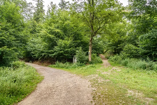 Przełęcz Rosochatka. Droga prosto - szlak żółty (trudniejszy), w lewo zielony (łatwiejszy) 