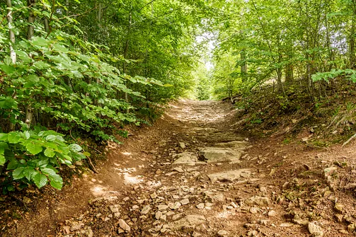 Chełmiec w Górach Wałbrzyskich - najkrótszy szlak na szczyt