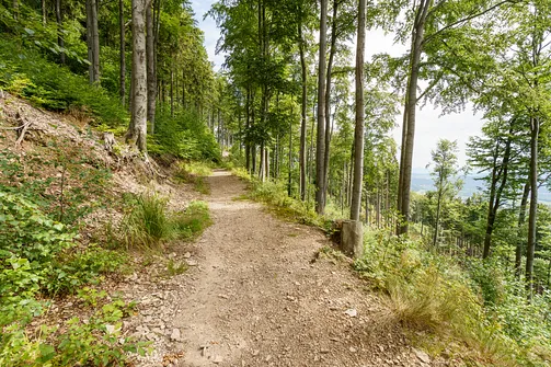 Chełmiec w Górach Wałbrzyskich - najkrótszy szlak na szczyt