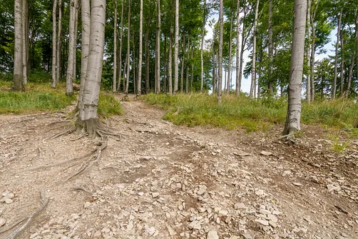 Chełmiec w Górach Wałbrzyskich - najkrótszy szlak na szczyt