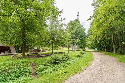 Szczyt Chełmca w Górach Wałbrzyskich