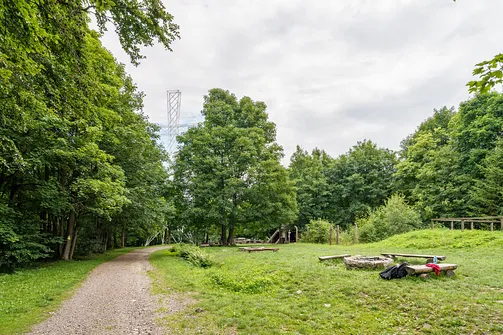 Chełmiec w Górach Wałbrzyskich - najkrótszy szlak na szczyt