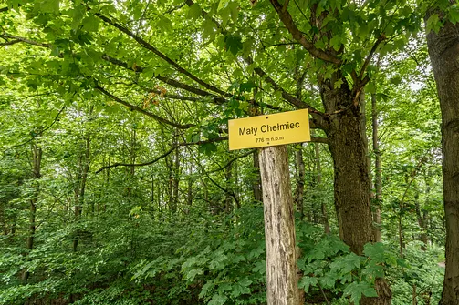 Mały Chełmiec (776 m n.p.m.)
