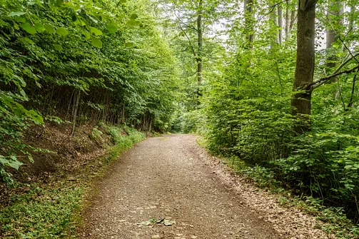 Chełmiec w Górach Wałbrzyskich - najkrótszy szlak na szczyt