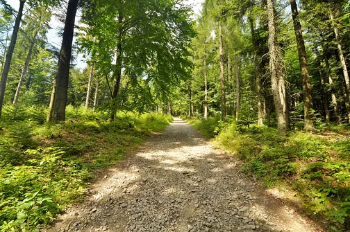 Lubomir - góra z obserwatorium astronomicznym na szczycie