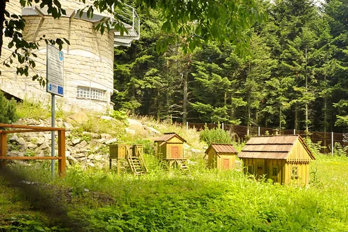 Lubomir - góra z obserwatorium astronomicznym na szczycie