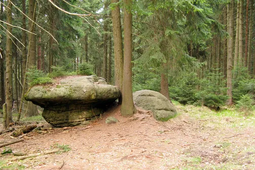 Skalne Grzyby