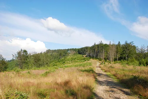 Ostatni etap drogi na Czupel