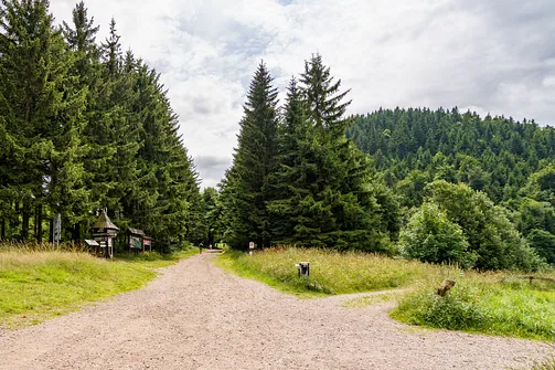 Widok na Waligórę spod schroniska PTTK Andrzejówka