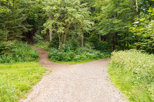 Miejsce rozejścia szlaków na Waligórę: w lewo - żółty (trudniejszy), w prawo - niebieski (łatwiejszy)