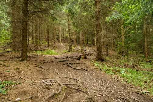 Początek podejścia na Waligórę żółtym szlakiem 