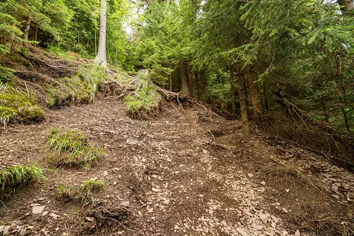 Żółty szlak na Waligórę od strony Przełęczy Trzech Dolin