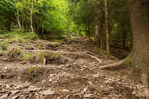 Żółty szlak na Waligórę od strony Przełęczy Trzech Dolin