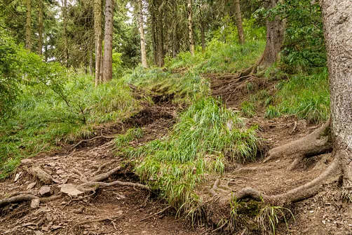 Żółty szlak na Waligórę od strony Przełęczy Trzech Dolin
