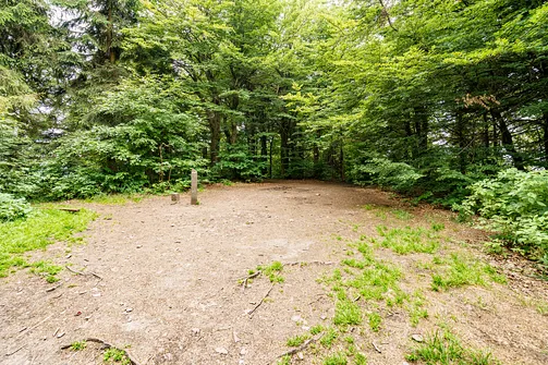 Waligóra (934 m n.p.m) - szczyt