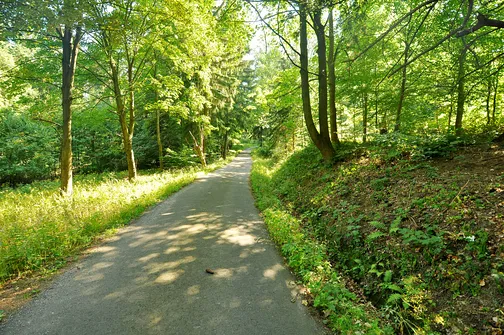 Skalnik - najwyższy szczyt Rudaw Janowickich