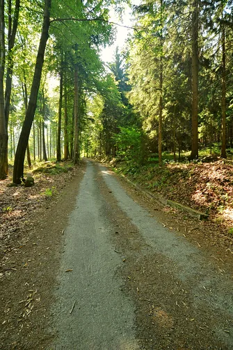 Skalnik - najwyższy szczyt Rudaw Janowickich