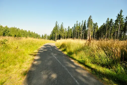 Skalnik - najwyższy szczyt Rudaw Janowickich