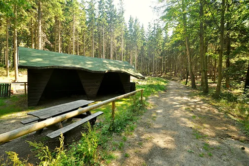 Skalnik - najwyższy szczyt Rudaw Janowickich