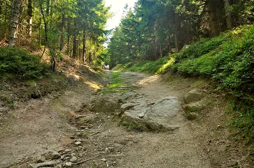 Skalnik - najwyższy szczyt Rudaw Janowickich