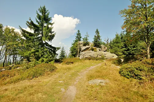 Skalnik - najwyższy szczyt Rudaw Janowickich