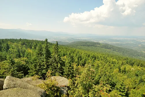 Skalnik - najwyższy szczyt Rudaw Janowickich